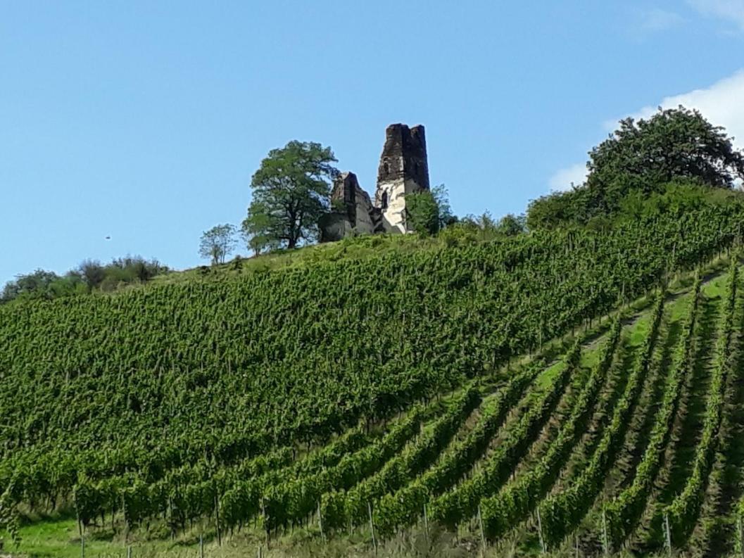 Ferienwohnung Gersch Traben-Trarbach Esterno foto