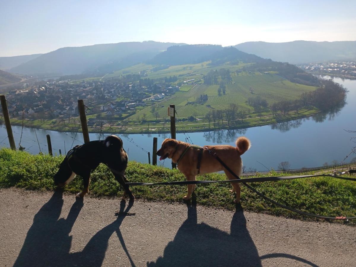 Ferienwohnung Gersch Traben-Trarbach Esterno foto